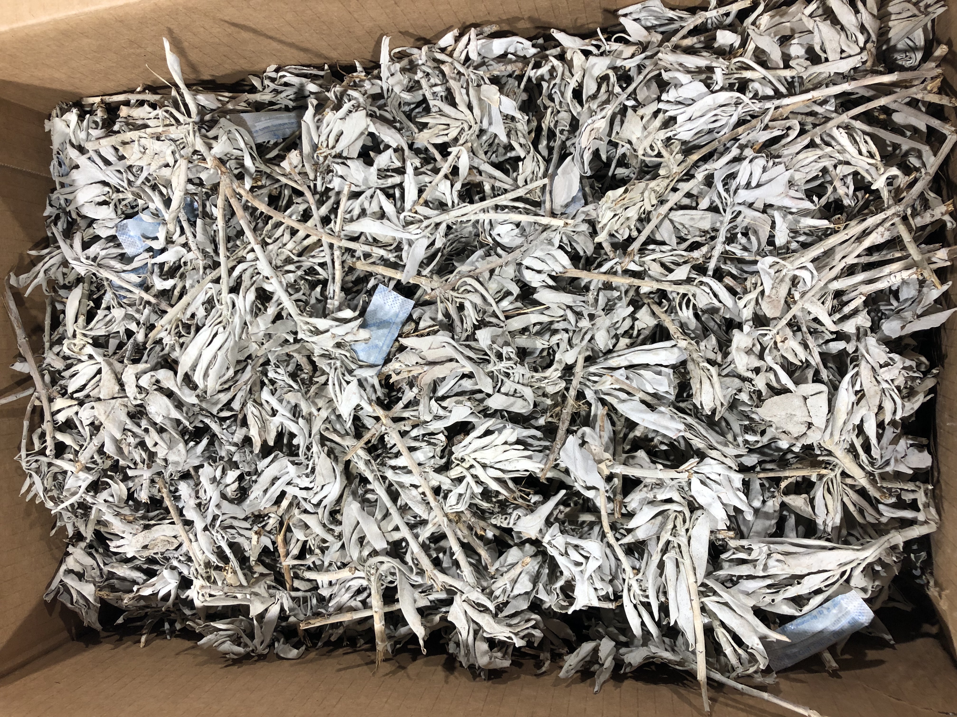 Xô thơm trắng white sage nguyên cành lá thanh tẩy nhà cuawr