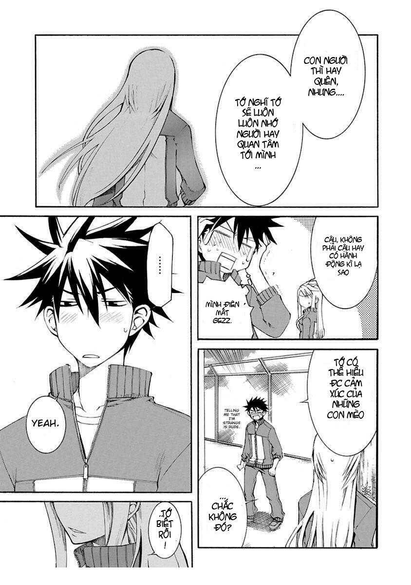 nyan koi! chapter 4 31