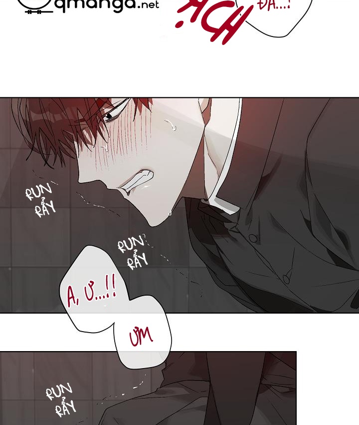 trái ngọt nơi đầu lưỡi chapter 10 4