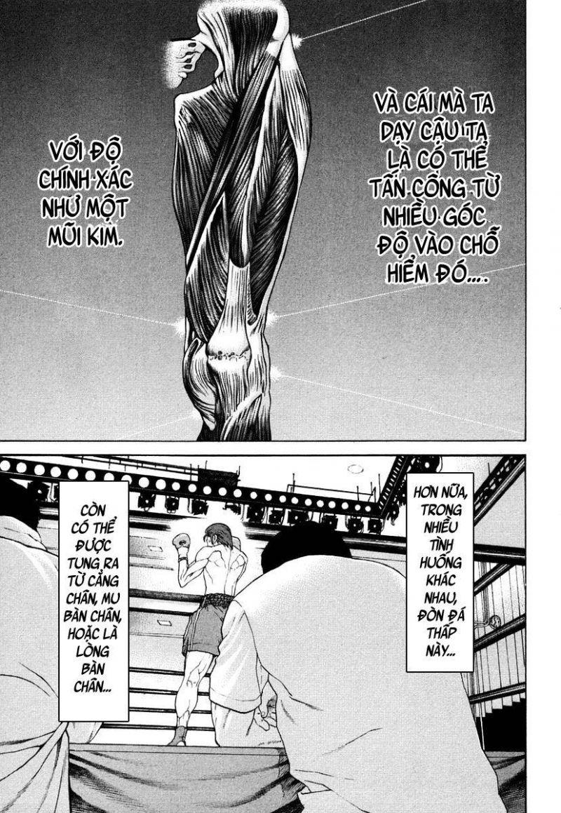 karate shoukoushi kohinata minoru chapter 219 13