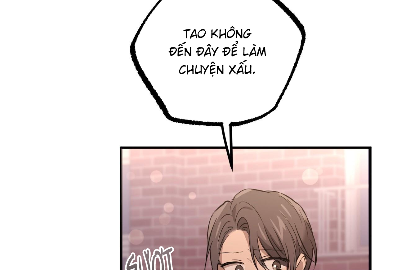 NHỮNG CHÚ THỎ CỦA HAPYPY chapter 57