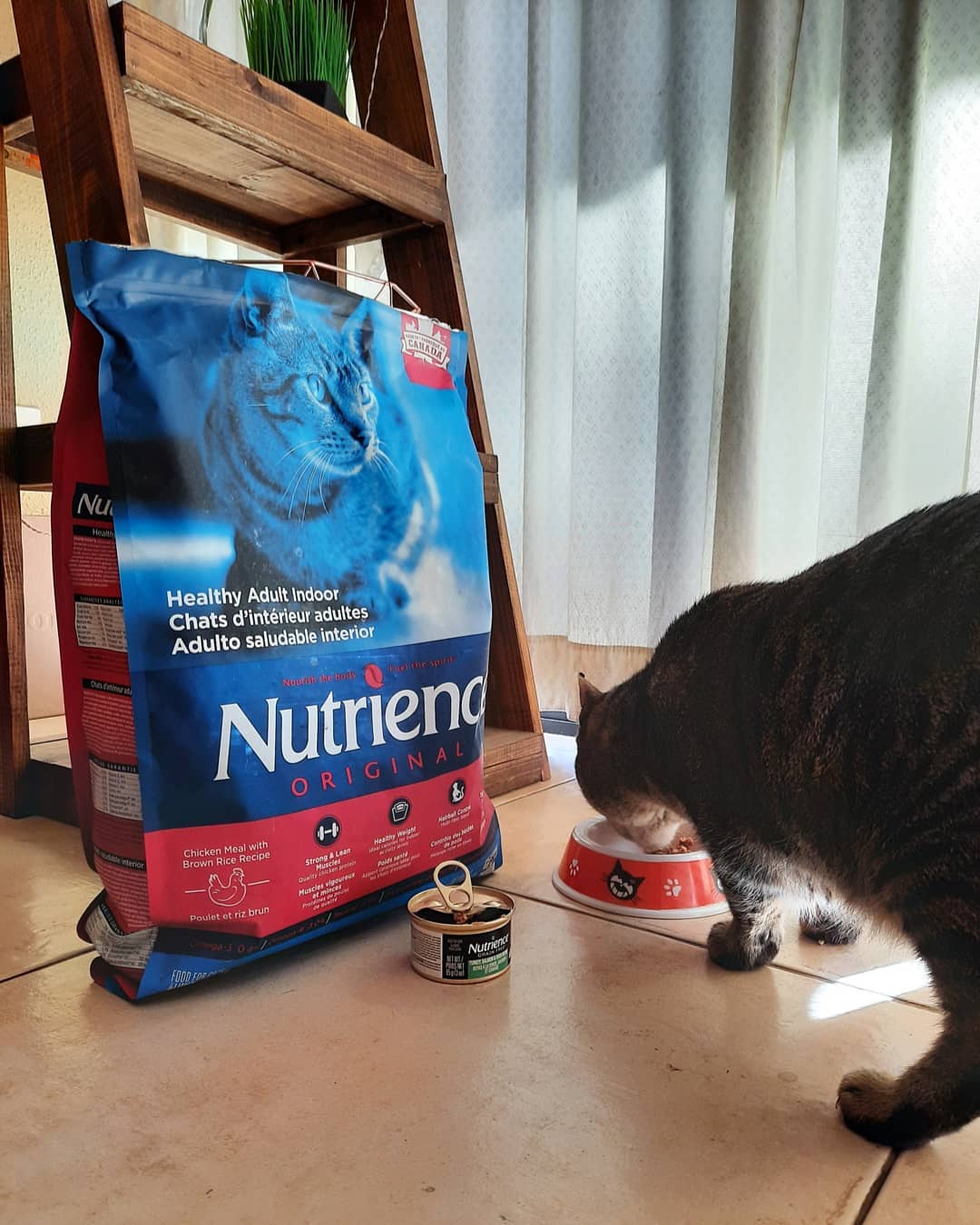 Thức Ăn Hạt Cho Mèo Ba Tư - Nutrience Subzero Bao 5kg - Thức Ăn Cho Mèo
