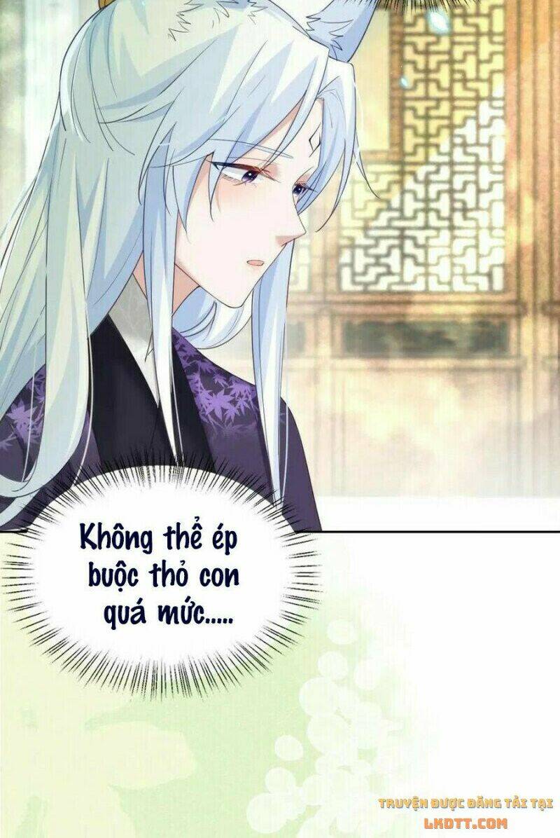 hắc hóa nam chính trực tuyến nuôi thỏ chapter 61 11