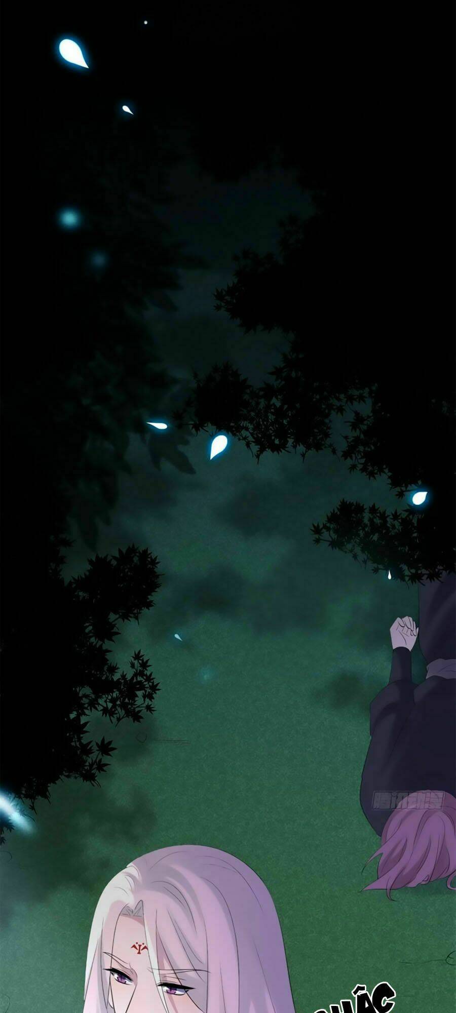 tuyệt thế thần y: phúc hắc đại tiểu thư chapter 12.1 26