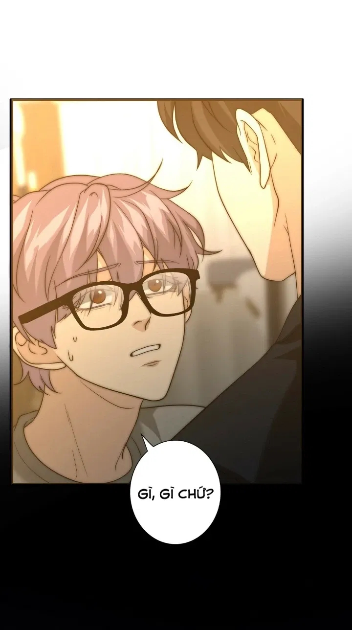 bí mật của omega k chapter 20 22