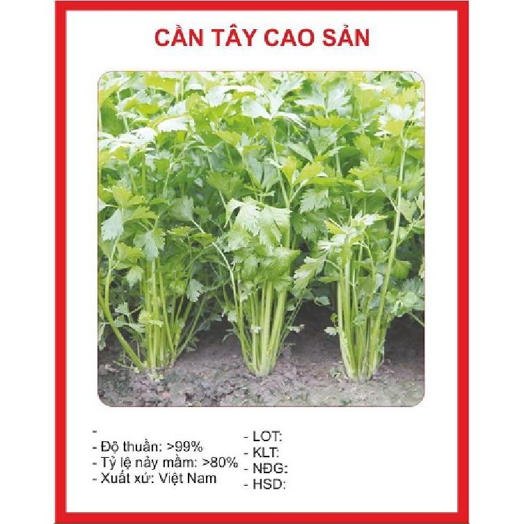Combo 2 gói hạt giống rau cần tây chịu nhiệt