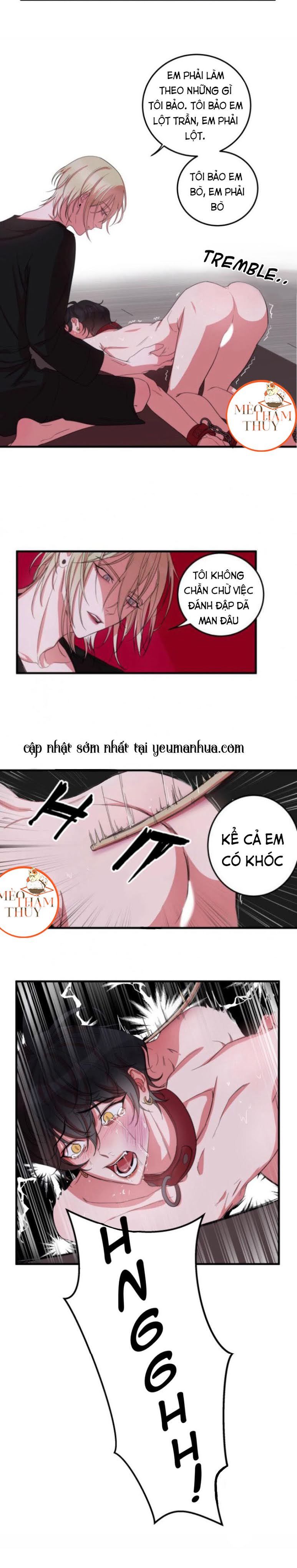 khẩu vị và sự tôn thờ của người yêu tôi chapter 4 6