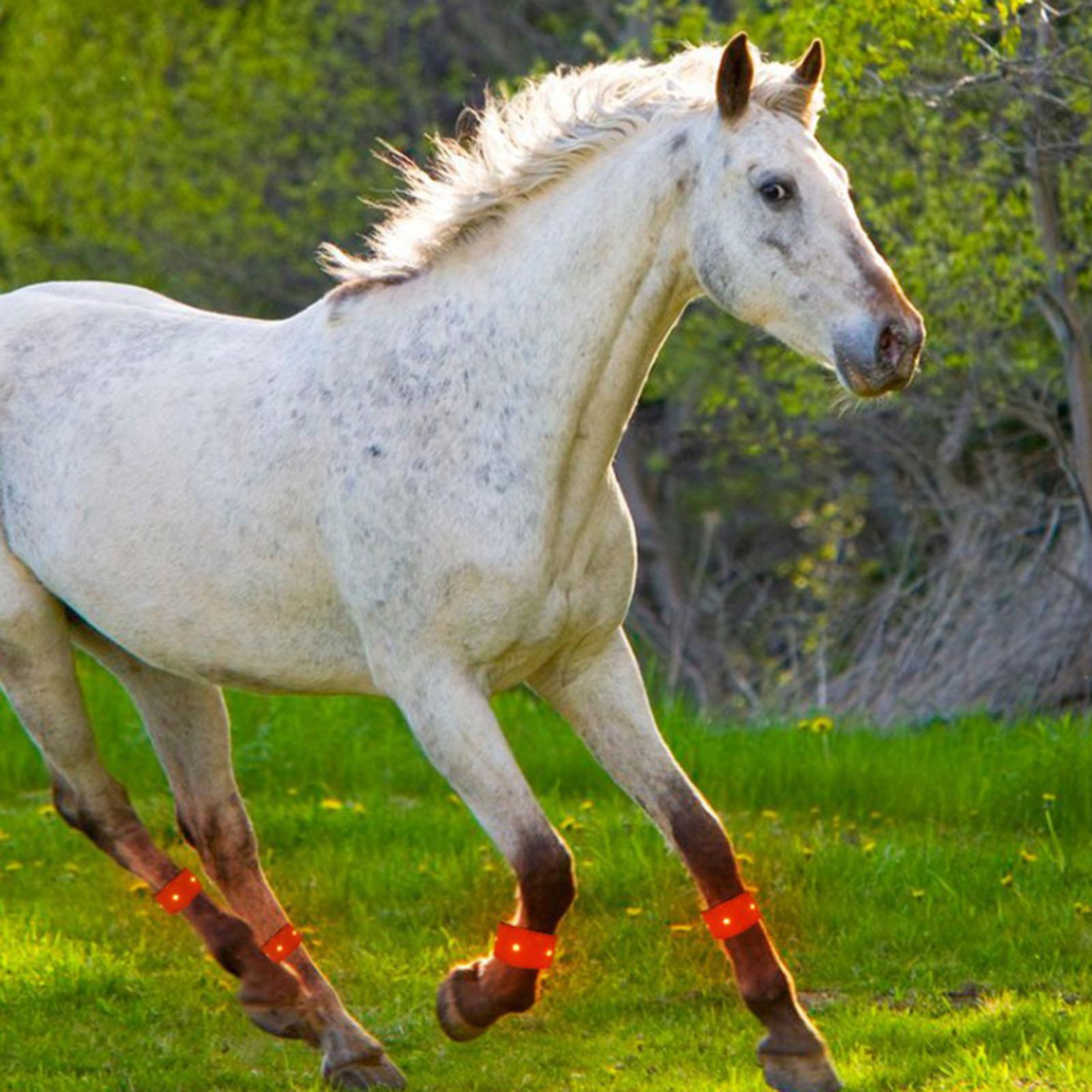 Horse Leg Strap for Men