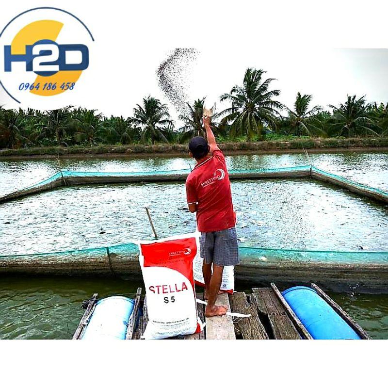 Combo Túi 5kg cám Koi STELLA đạm 40, 42 %