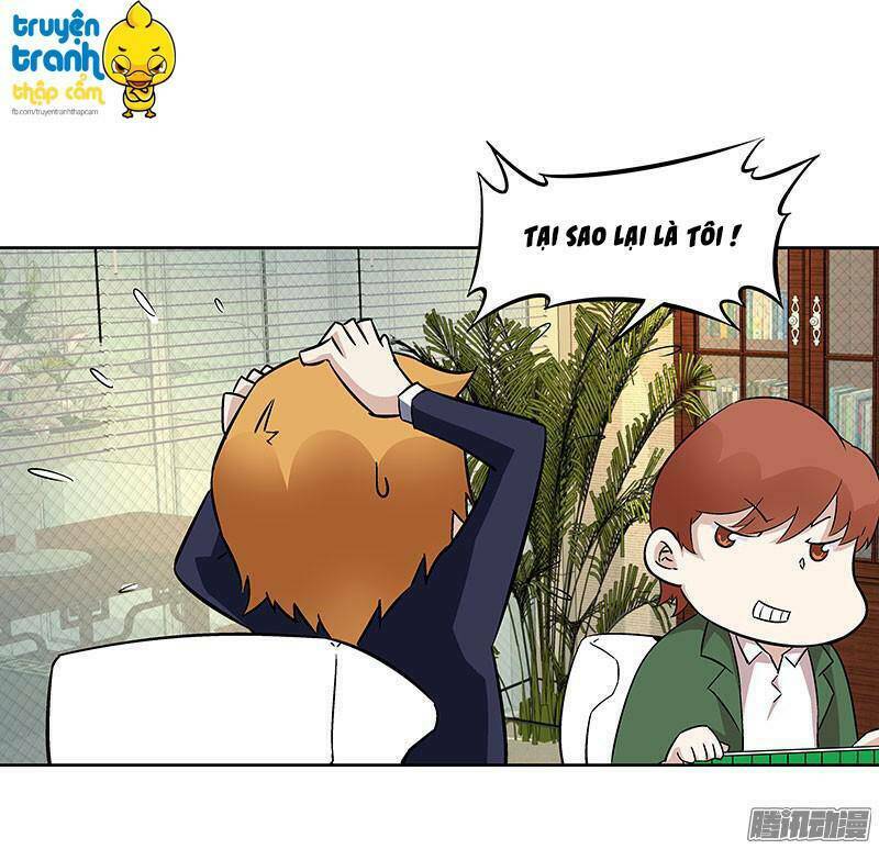 cường sủng hào môn tiểu manh thê chapter 11 16