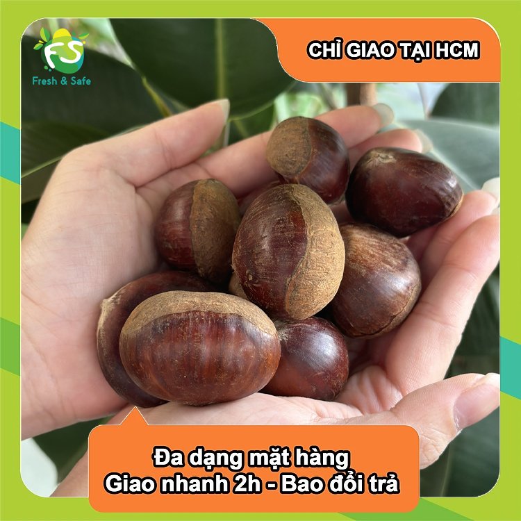 [CHỈ GIAO HCM] Hạt dẻ tươi - 500g