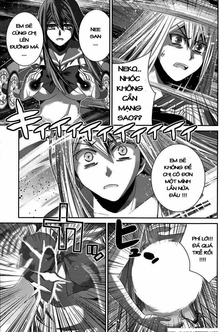 cô ấy là kuroneko chapter 99 8