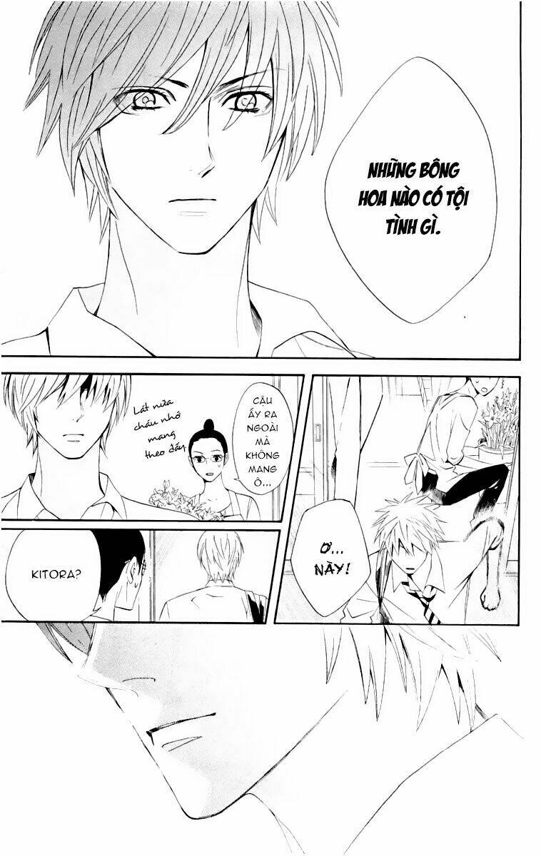 chàng trai hoàn hảo chapter 14 32