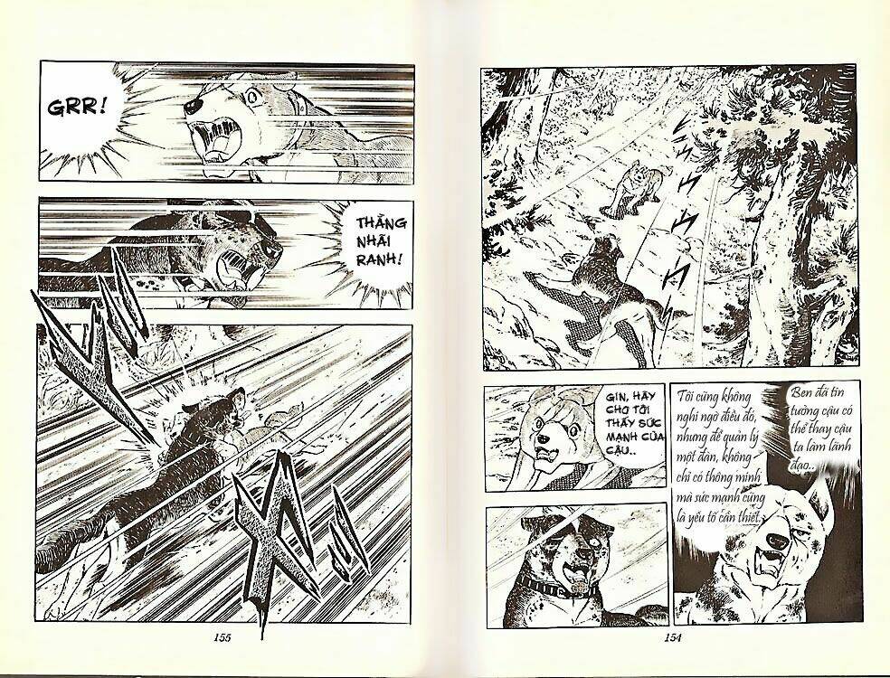 chú chó có nghĩa - ginga nagareboshi gin chapter 21 7