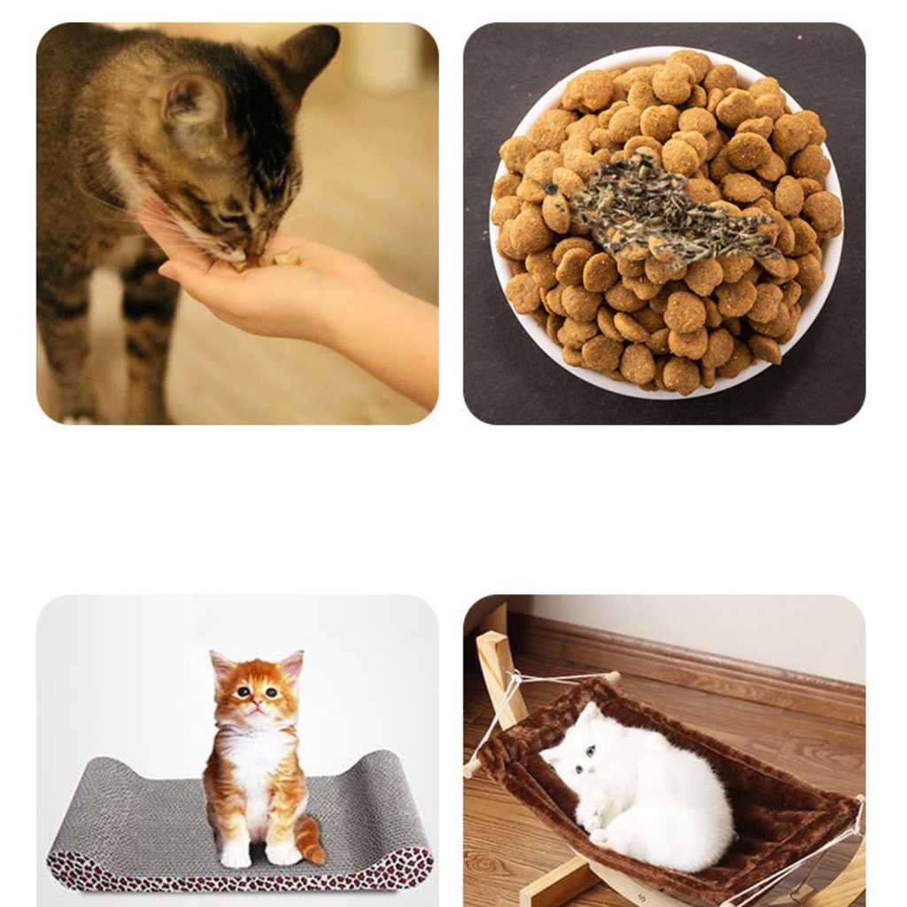 Hình ảnh Cỏ catnip cho Mèo Bioline Catnip Hũ 30g Giúp Mèo Giải trí Thư giãn Xả stress Hỗ trợ tiêu hóa búi lông -Pet shop Uytinpro