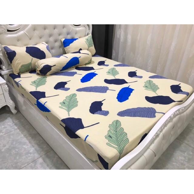 Drap thun hàn quốc