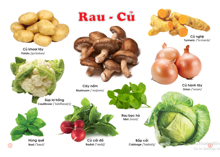 Sách - Từ điển bằng tranh Rau Củ Quả - ndbooks