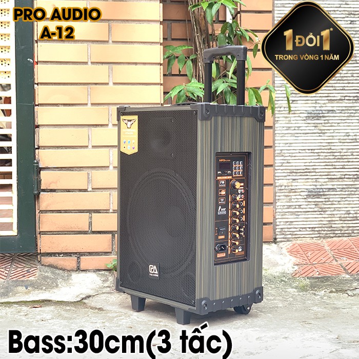 Loa Kéo Karaoke Cao Cấp Công Suất 250W-500W A-12/ SKT 300 Siêu Bass 30cm( 3 Tấc ) Hàng Chính Hãng Pro Audio