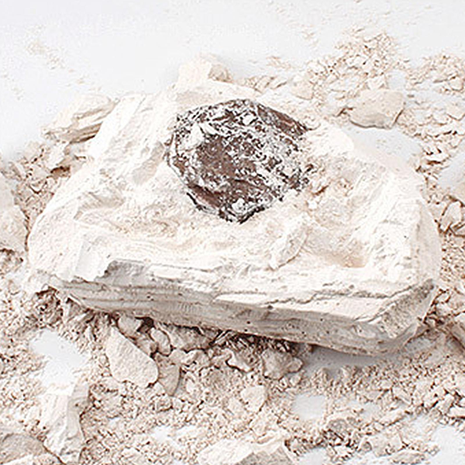 Kids Dinosaur Toys Excavation Discover Surprise Stone
