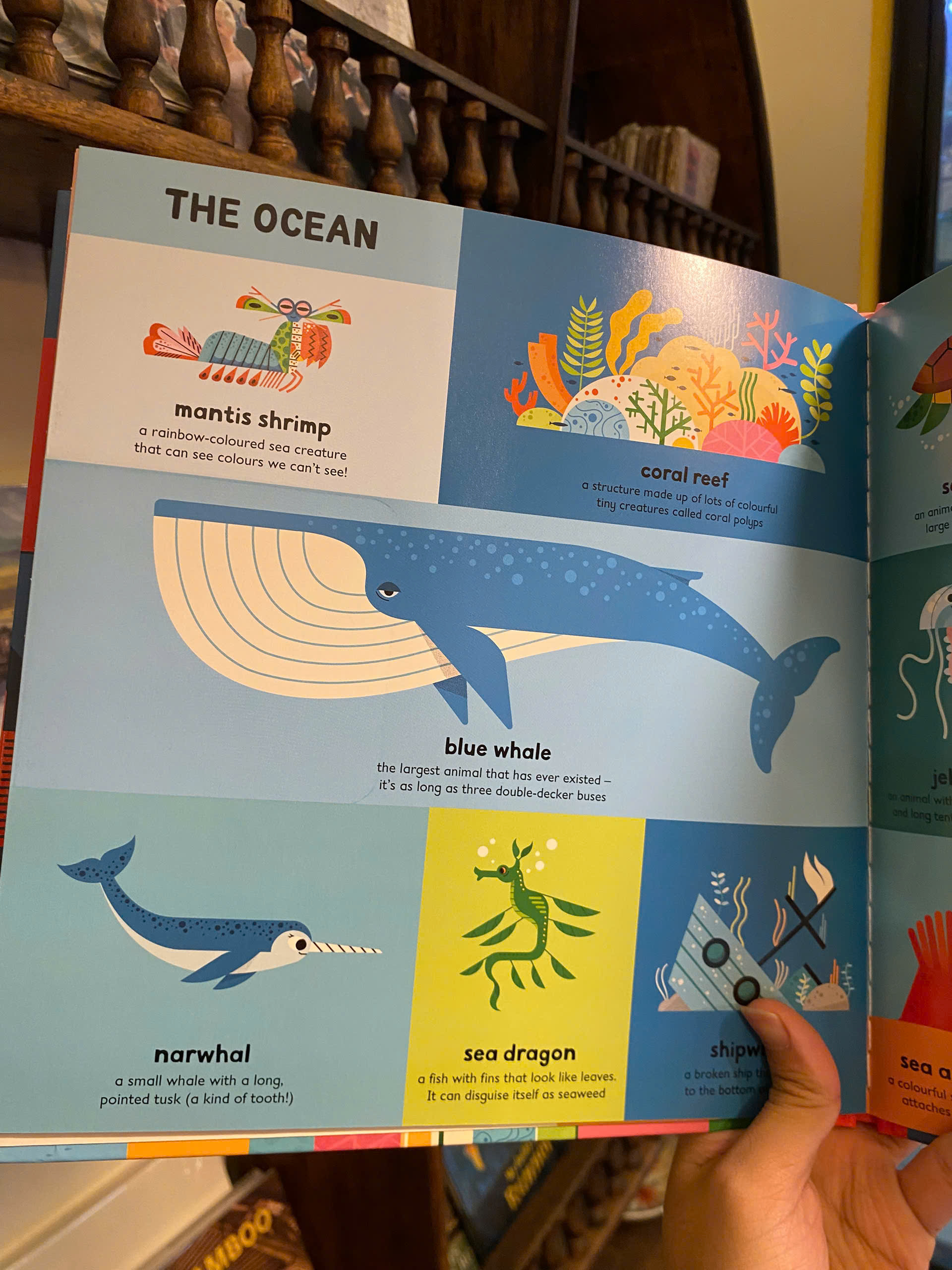 Sách - My First Book of Everything (Illustrated by Ben Newman) | Children English Book
