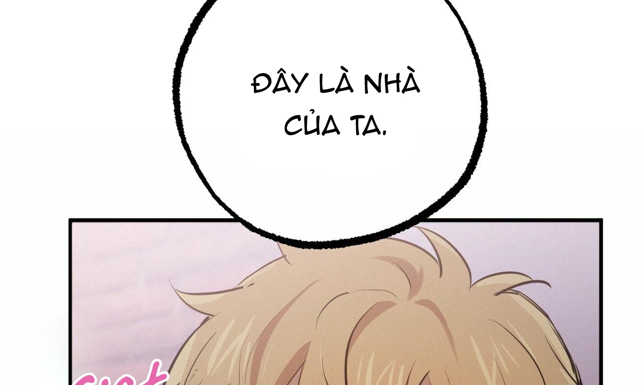 đàn thỏ của habibi chapter 37 200