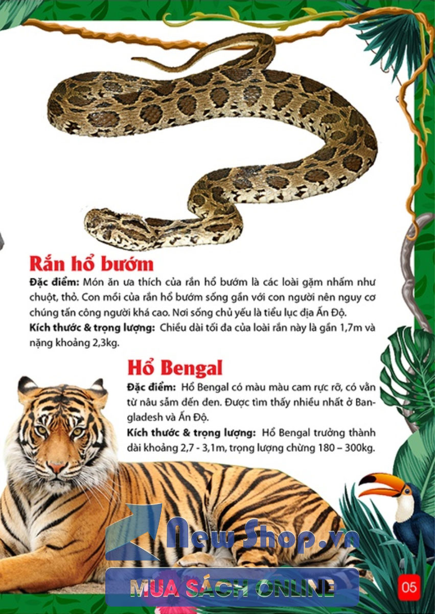 Khám Phá Động Vật 5 Châu - Châu Á