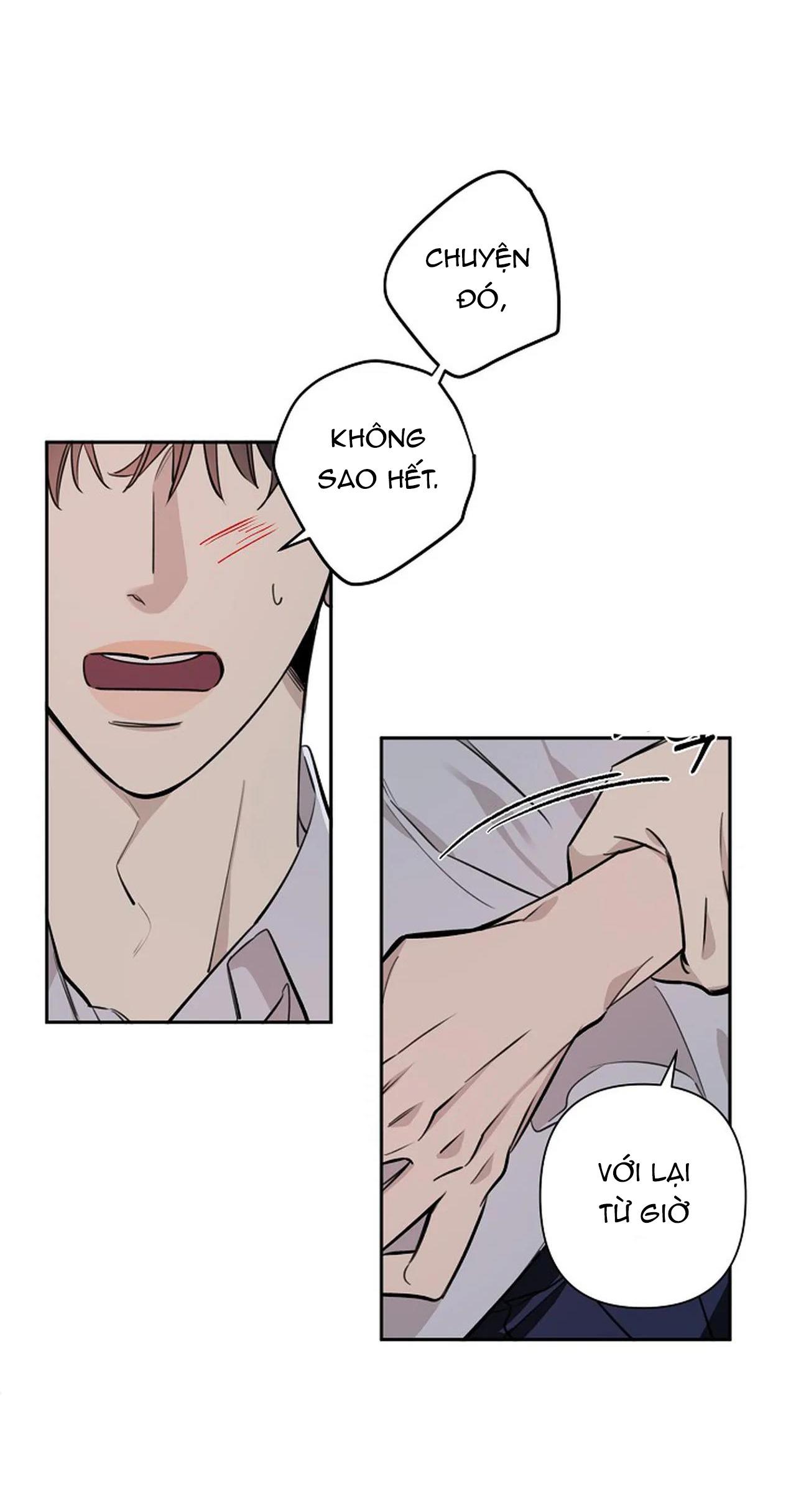 đêm dịu dàng chapter 54 7