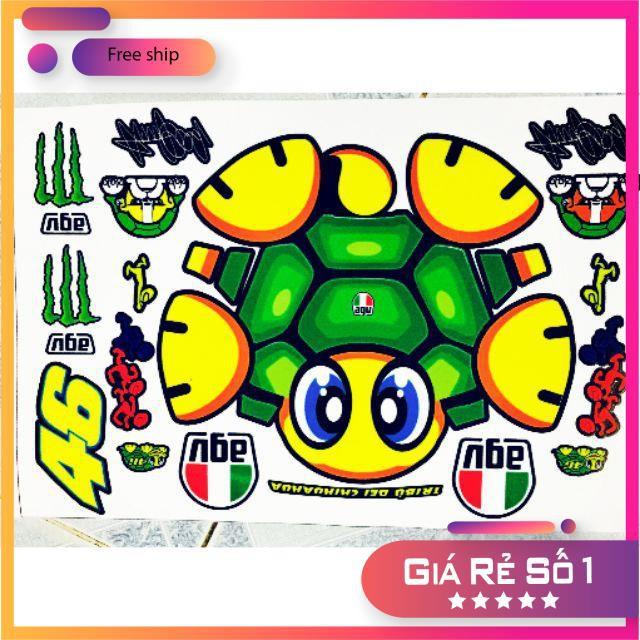 Tem dán nón dành cho 1/2 rùa