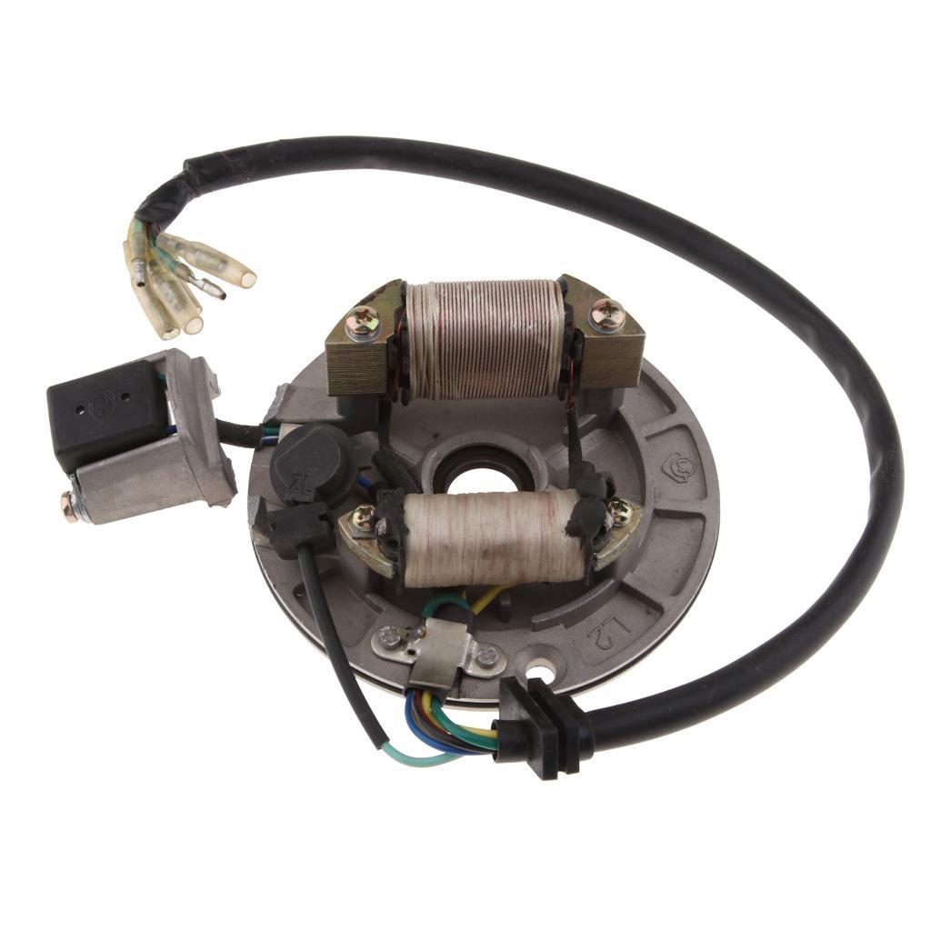 Ignition Stator Magnet Plate for Quad ATV Kart Bike 90cc 110cc 125cc 140cc