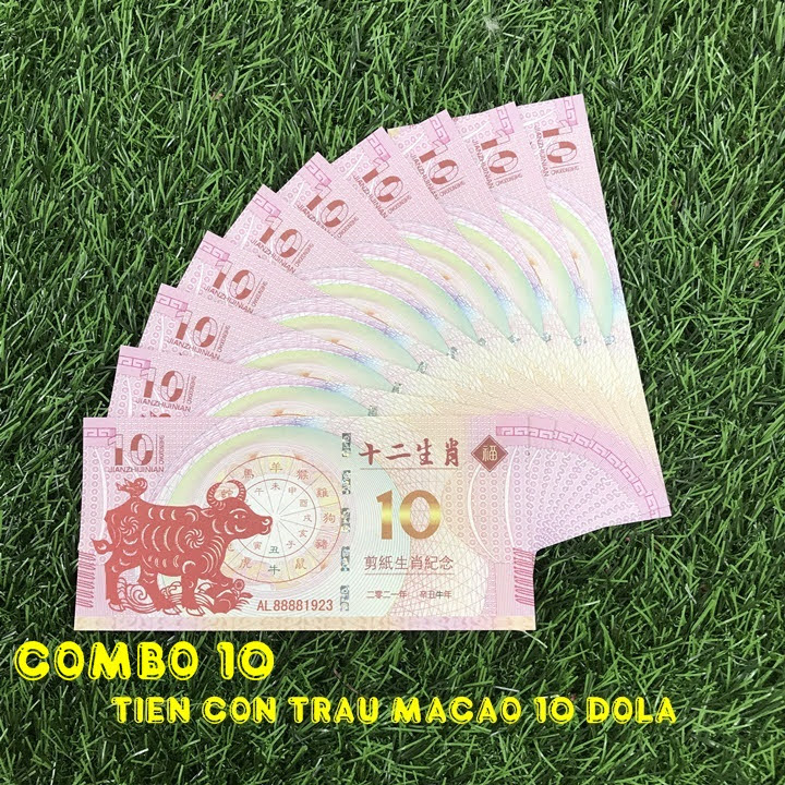 Combo 10 tờ lưu niệm 10 dola Macao hình con Trâu, dùng để sưu tầm, lưu niệm, làm tiền lì xì độc lạ, may mắn, ý nghĩa - TMT Collection - SP005058