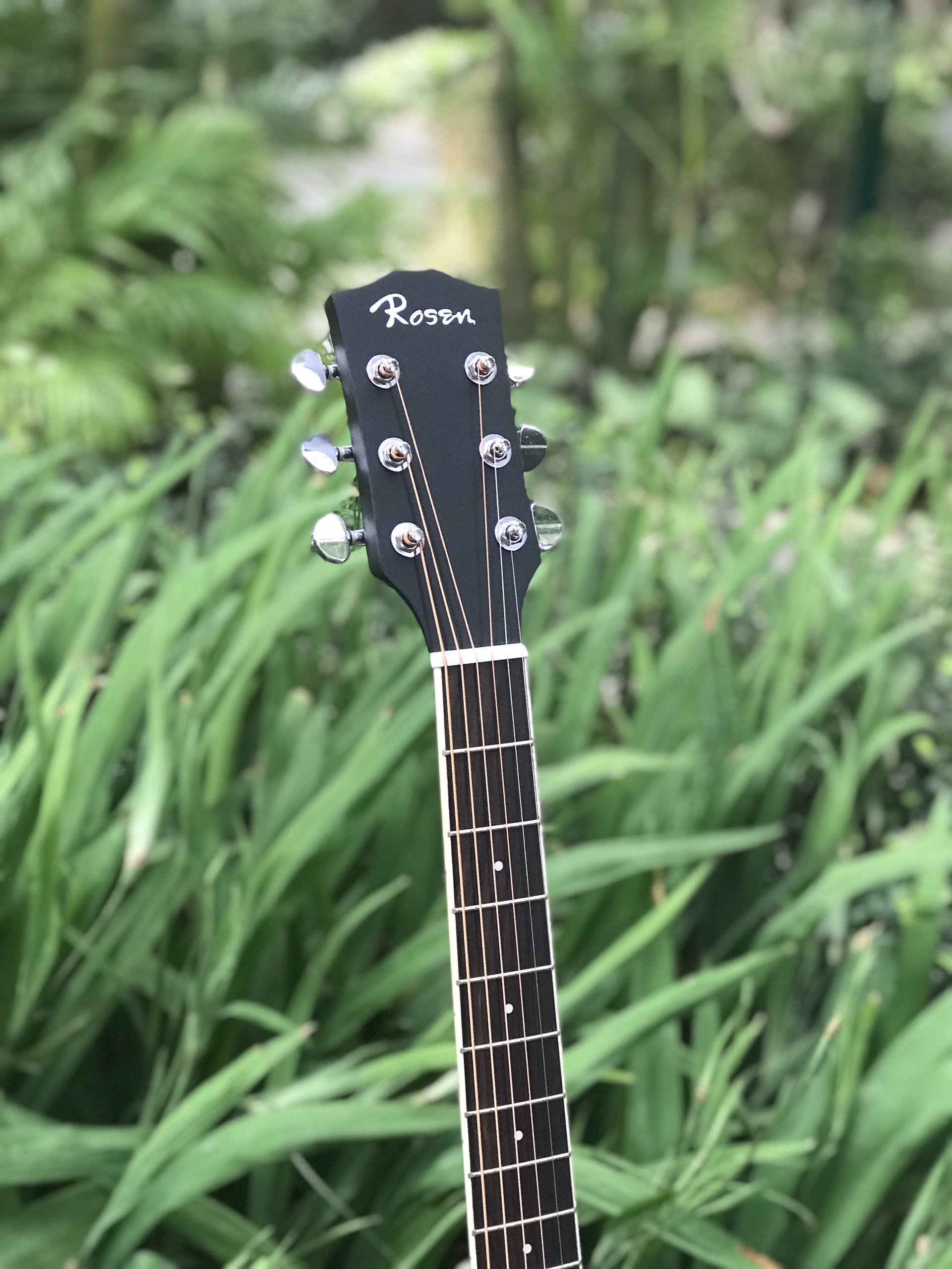 Đàn Guitar Acoustic Rosen R135 màu Đen