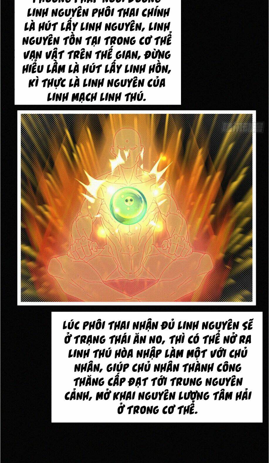 nguyên linh chúa tể chapter 8 27