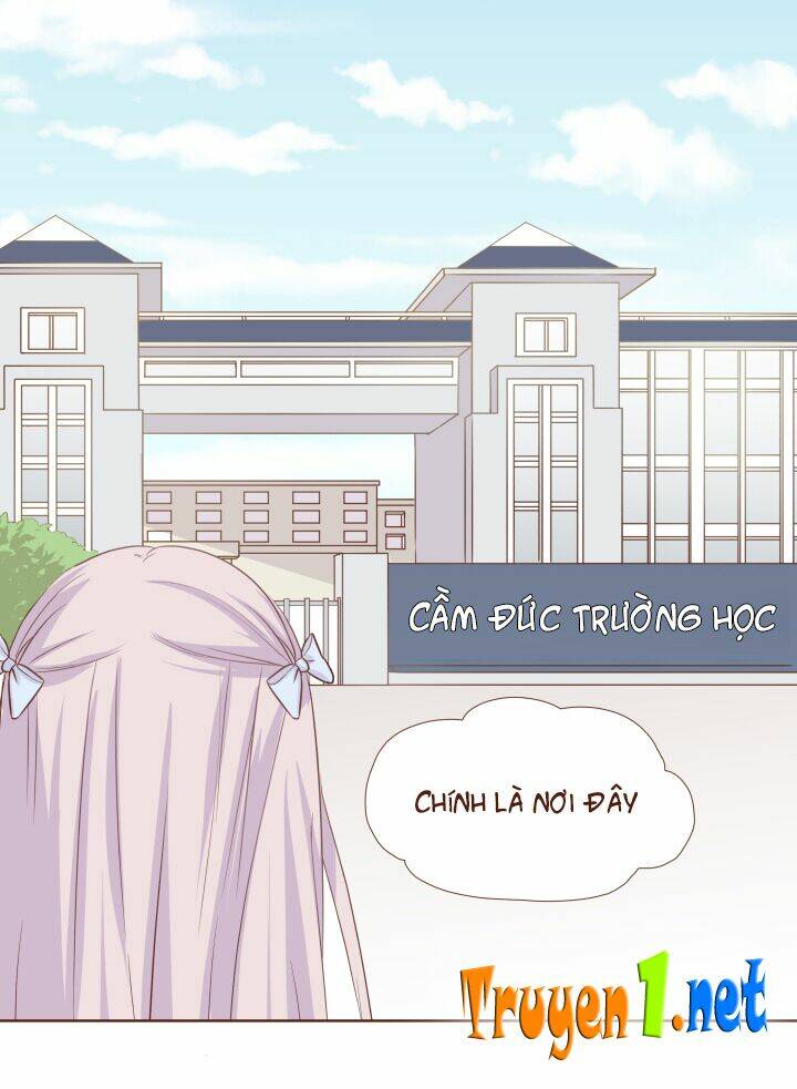 luyến ái tư hữu vật chapter 1 11