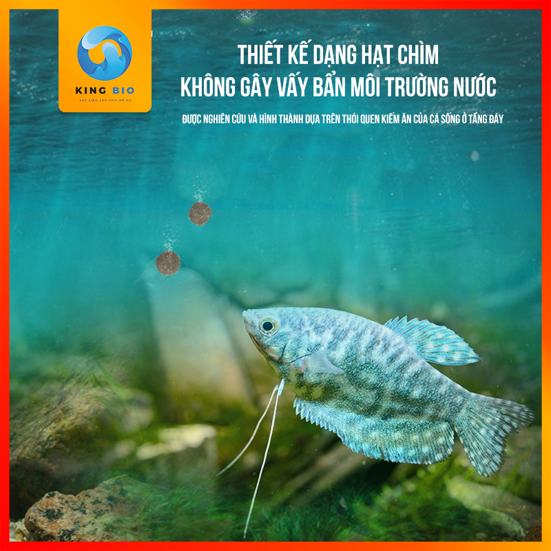 Cám Yee Ground Fish - Thức ăn dinh dưỡng hỗ trợ tiêu hóa cho các loại cá sống tầng đáy