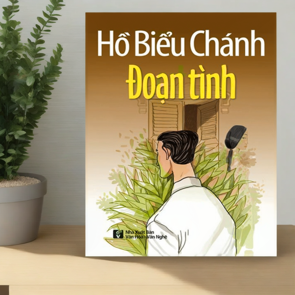 Hồ Biểu Chánh - Đoạn Tình