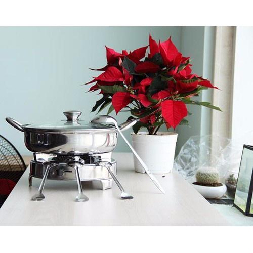NỒI LẨU INOX NẮP KÍNH SIZE 26CM CÓ TAY CẦM