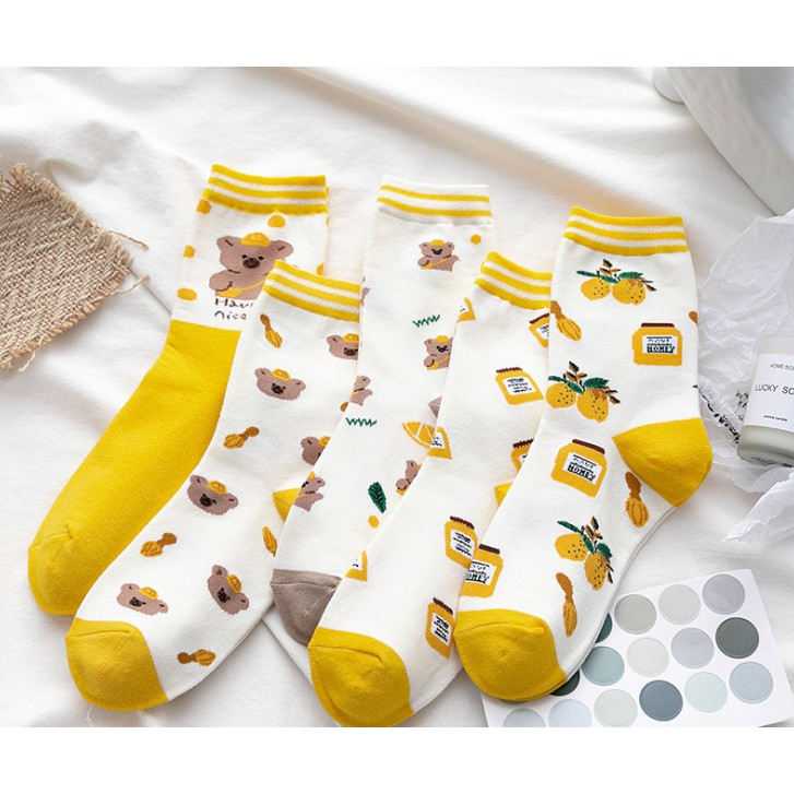 Combo 5 Đôi Vớ Cao Cổ Hình Gấu Vàng