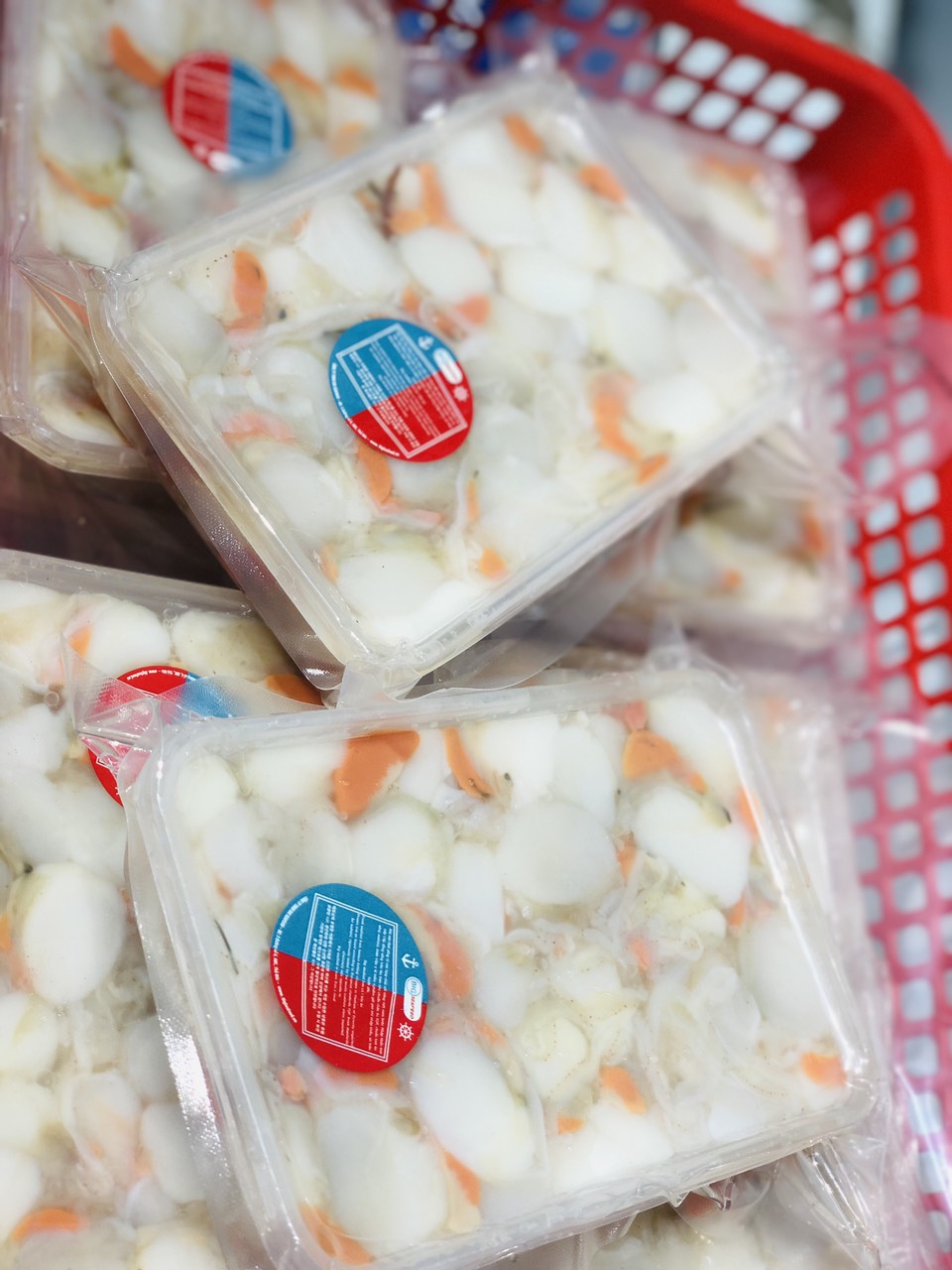 CỒI SÒ ĐIỆP VN SIZE 60-80/KG