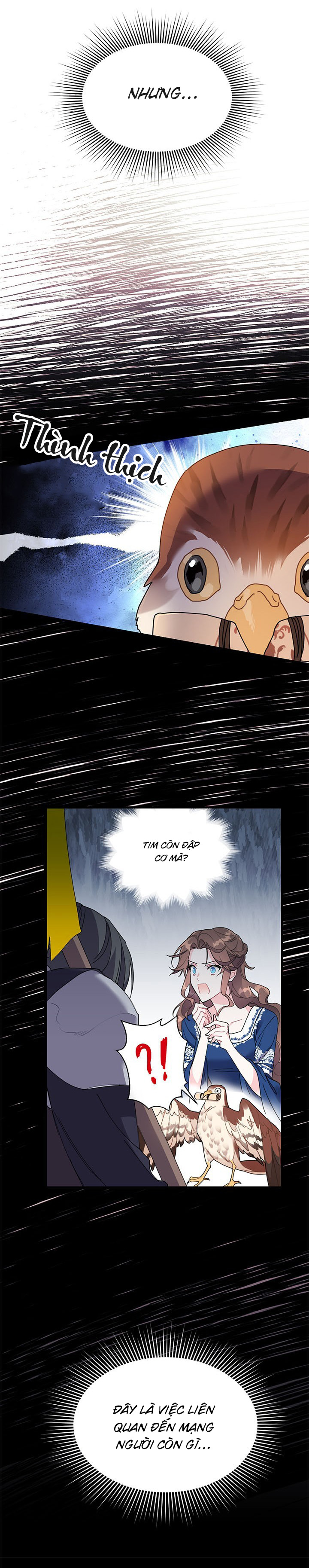 công chúa của loài chim chapter 4 6