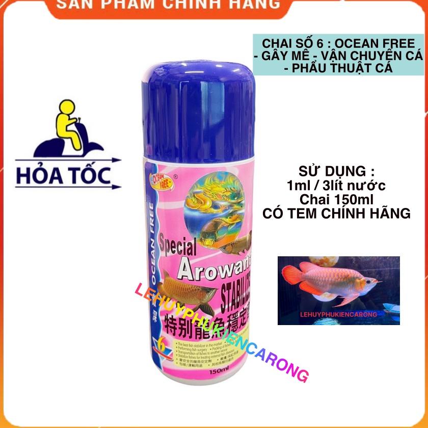 Chai Số 6 150ml, Gây Mê Cho Cá Rồng Hàng Công Ty
