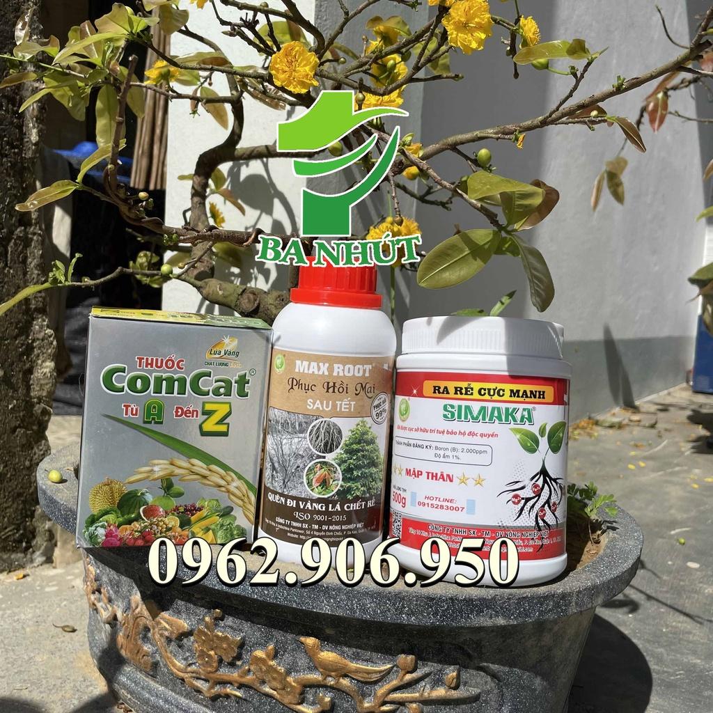 COMBO 3 SẢN PHẨM PHỤC HỒI MAI VÀNG SAU TẾT MAX ROOT – SIÊU KÍCH RỄ - QUÊN ĐI VÀNG LÁ THỐI RỄ LAO CÀNH