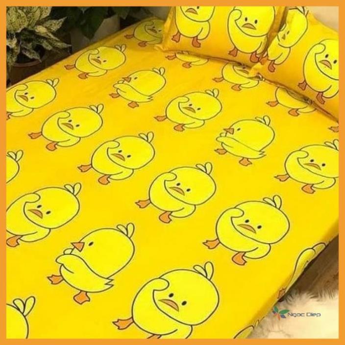 Ga chun bọc đệm kèm 2 vỏ gối poly cotton mẫu gà vàng, drap thun bọc nệm