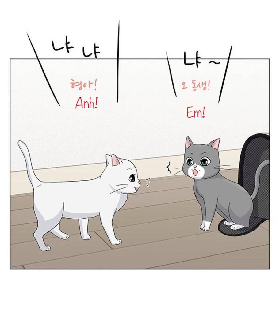 idol và sếp, em yêu ai? chapter 91 26