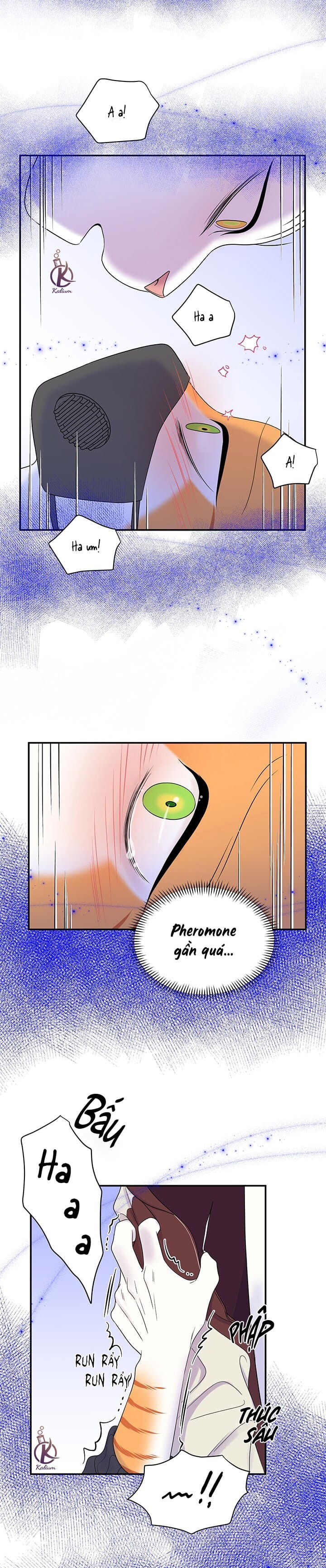 dự án xanh chapter 34 11