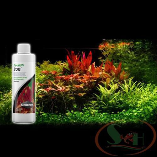 Phân nước Seachem Flourish Iron 100ml, 250ml, 500ml bổ sung sắt Fe+ bể thủy sinh