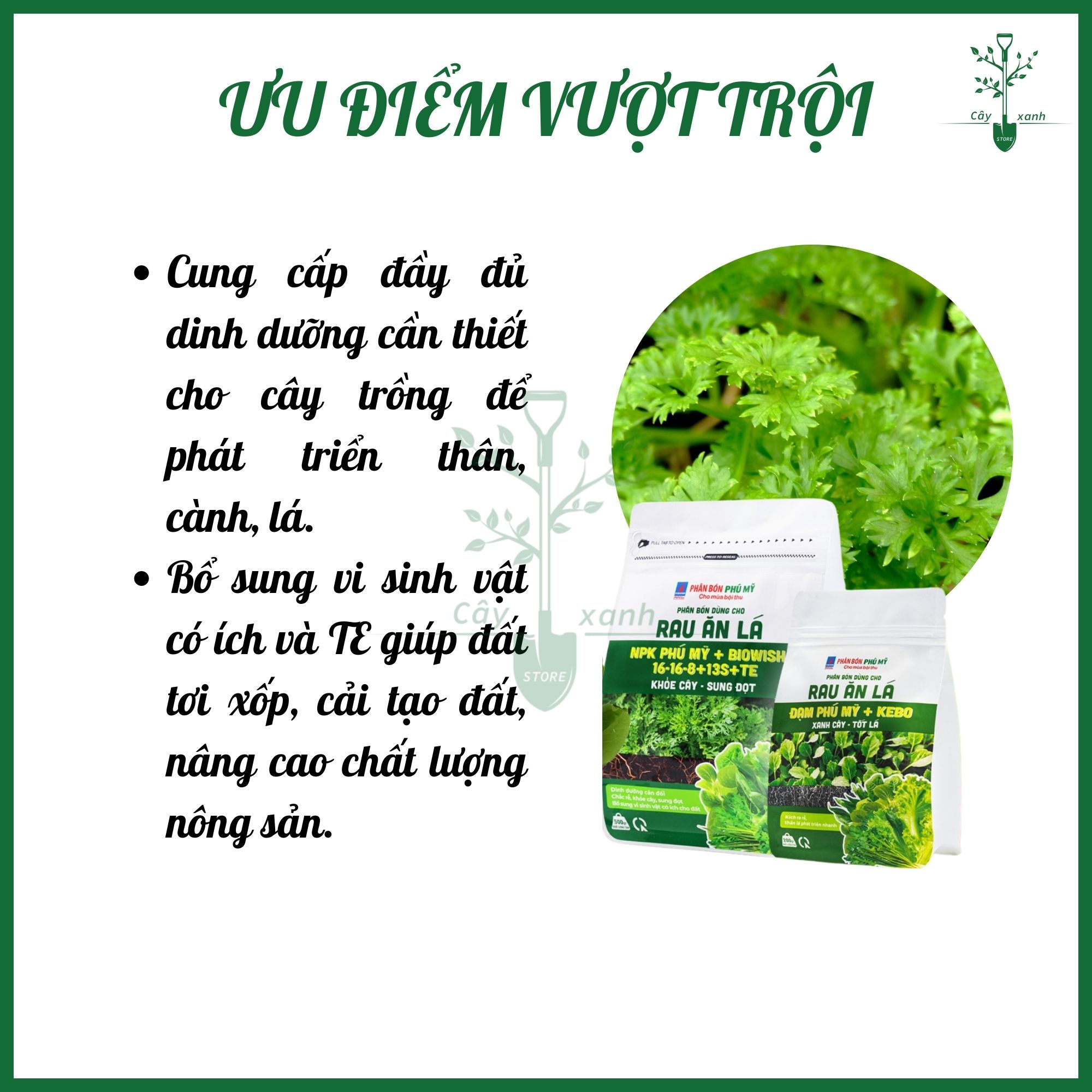 Phân bón Đạm Phú Mỹ cho rau ăn lá BiOWiSH 16-16-8+13S+TE gói 500g - Cung cấp vi sinh - Cây Xanh Store