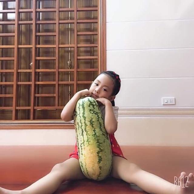 Hạt giống dưa hấu khổng lồ chiatai Thái lan