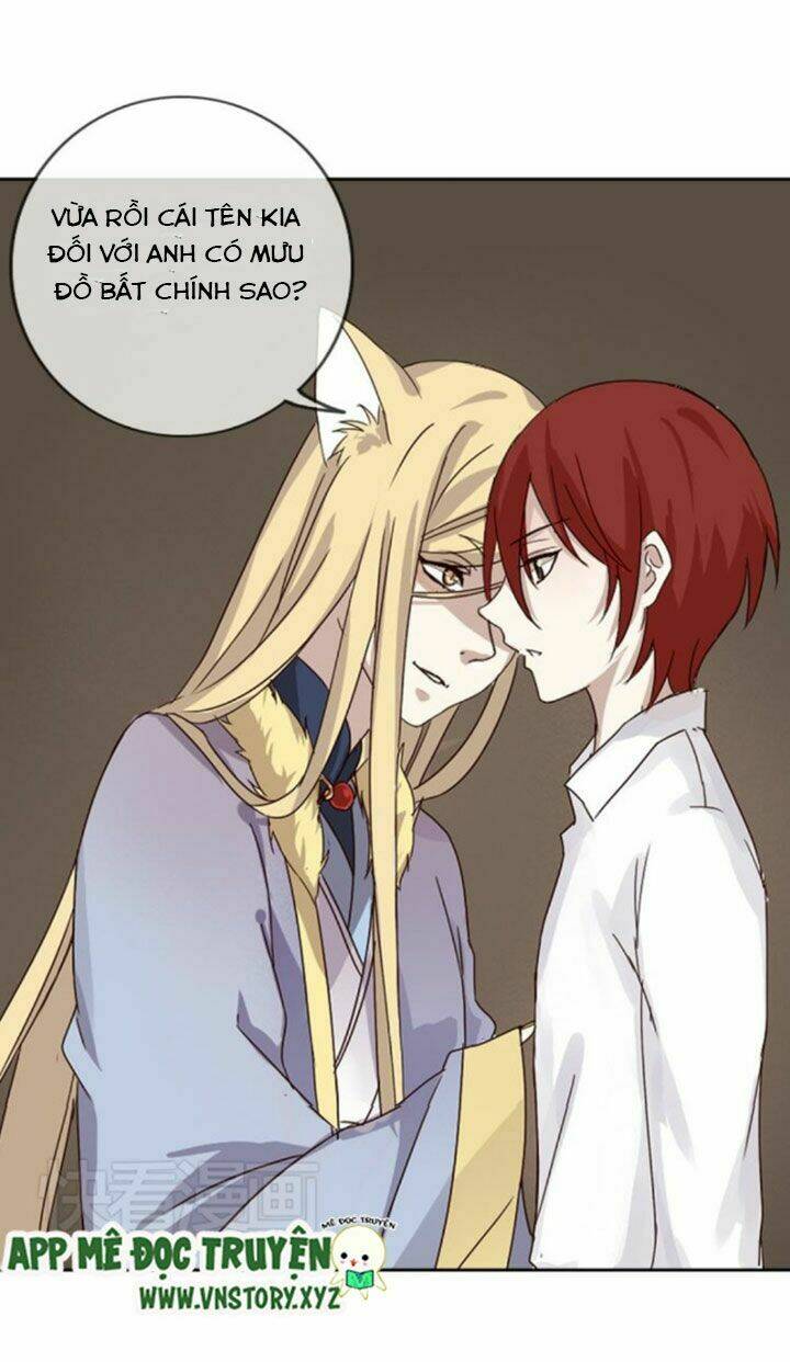 hồ tiên này không tin được chapter 1 24