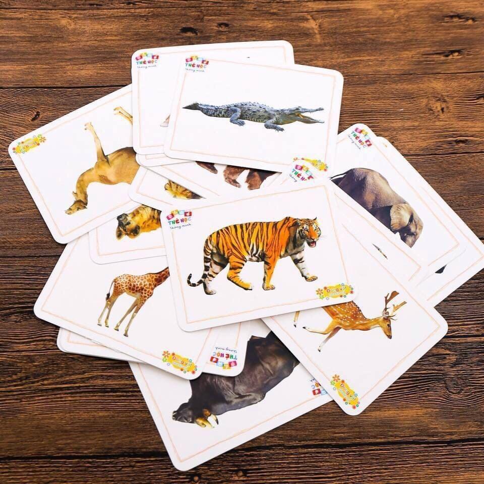 Trọn Bộ 200 Thẻ Flashcard -10 Chủ Đề Thẻ Học Thông Minh Song Ngữ Anh Việt Giúp Bé Nhận Biết về Thế Giới Xung Quanh