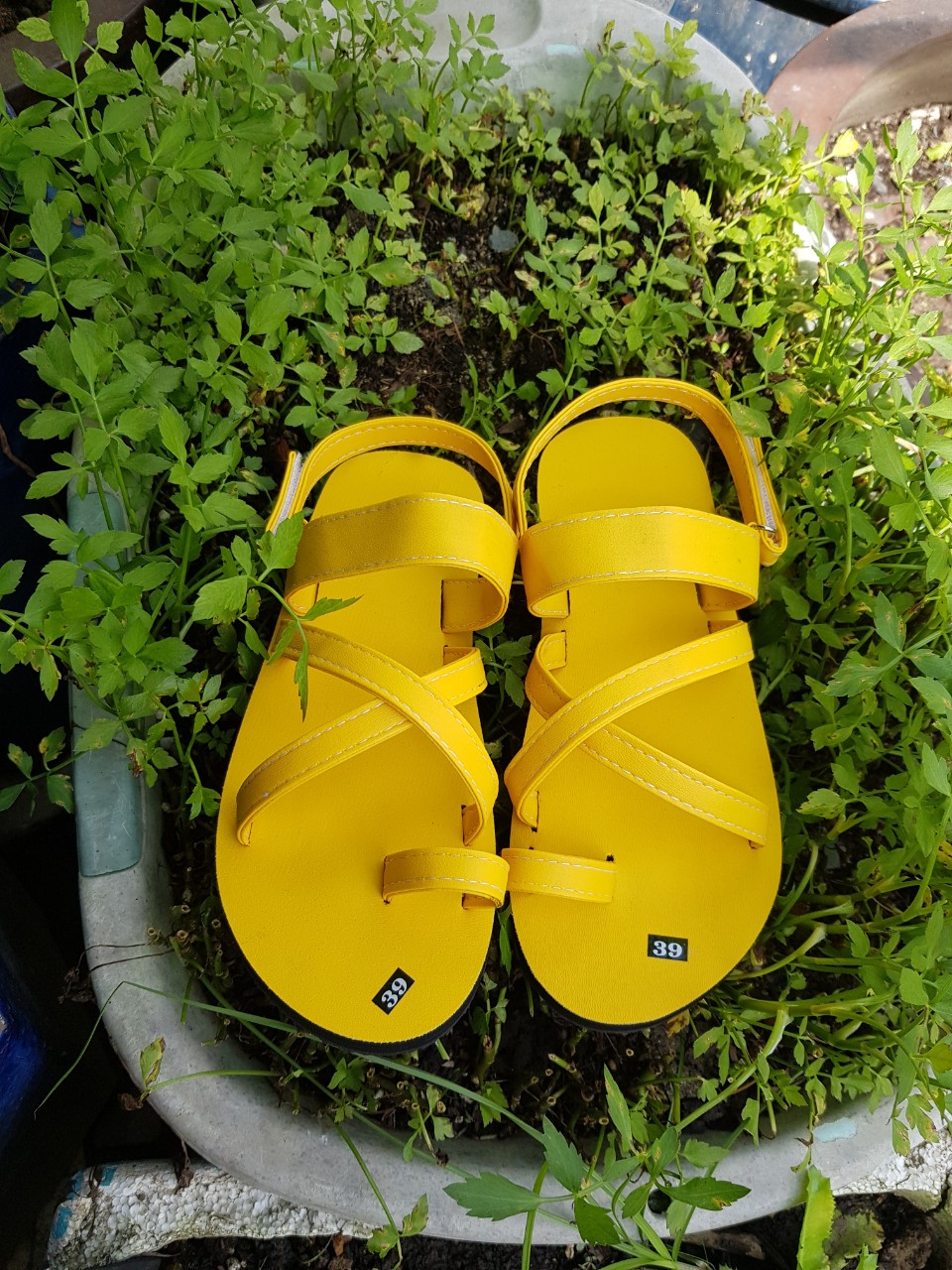 Sandanl nữ  size từ 35 nữ đến 40 nữ size khác ib chọn thêm